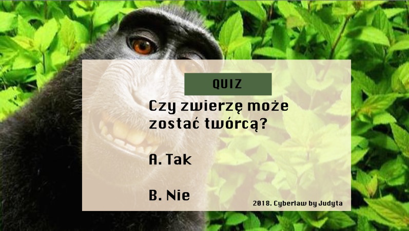 QUIZ 3